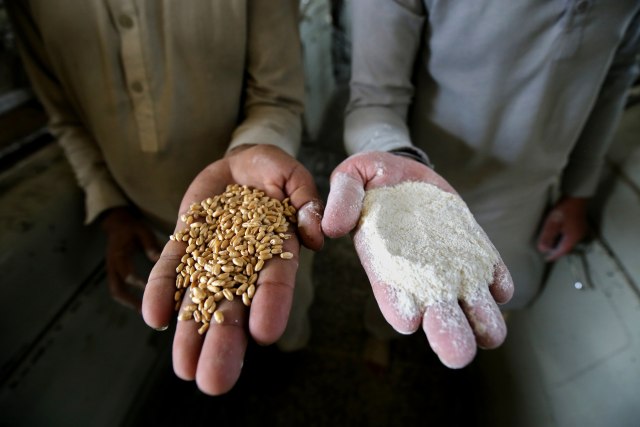 Brašno od tri vrste mahunarki snižava šeæer i smanjuje rizik od srèanih bolesti